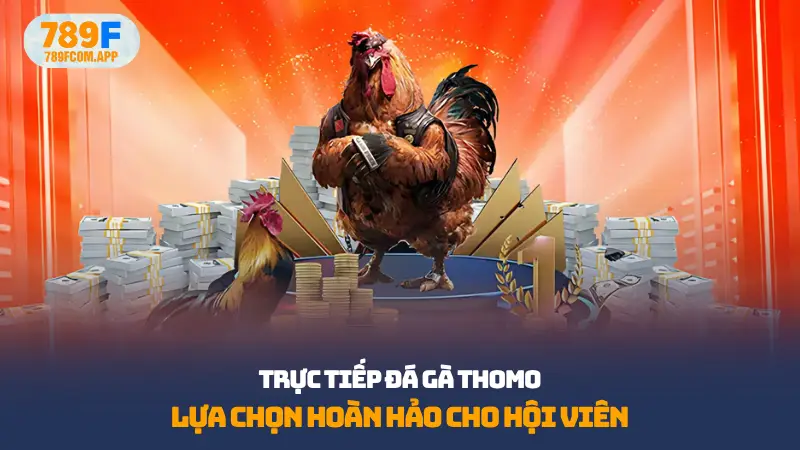 Trực tiếp đá gà thomo
